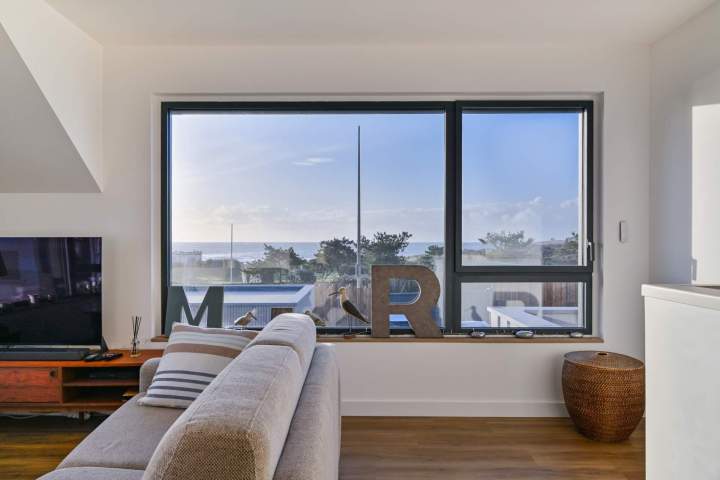 Millet simple visible4